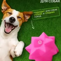 Игрушка для собак &laquo;Кристалл&raquo;, 8 см, пищащая, винил, розовая