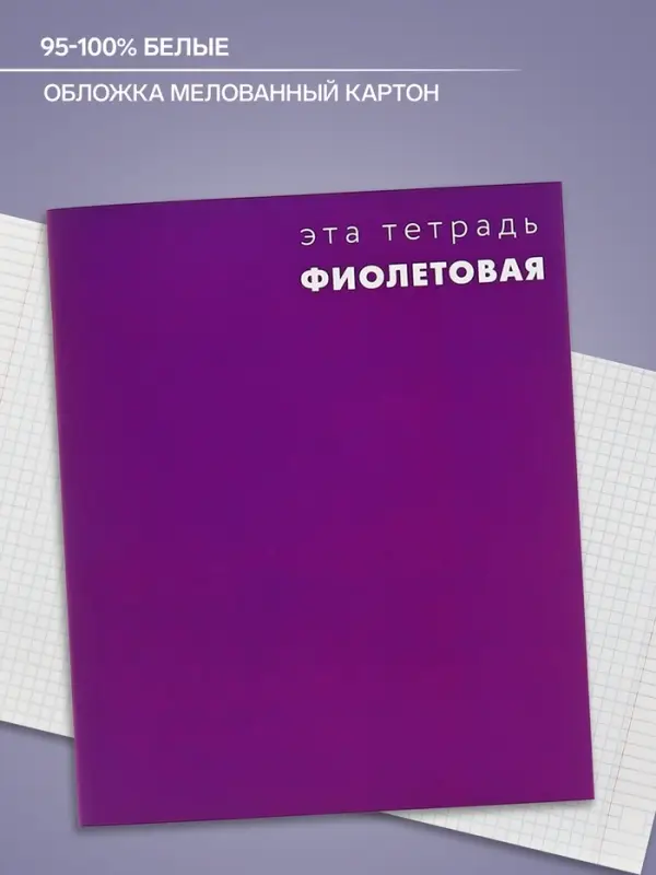 Тетрадь 48 листов в клетку, Calligrata &laquo;Это Тетрадь&raquo;, МИКС