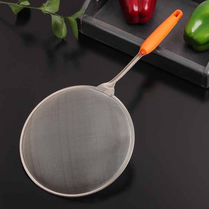 Сито Доляна «Краски», для снятия пены, d=20 см