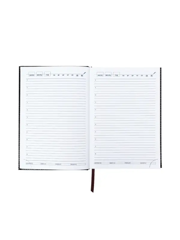 Ежедневник недатир А5 160л Вивелла черный