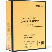 Туалетная вода мужская Free Style Flight to Ganymede, 100 мл