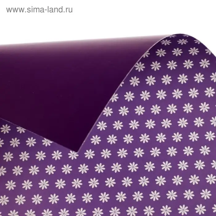 Картон цветной двусторонний А4, 6 листов, 6 цветов  Картон цветной двусторонний А4, 6 листов, 6 цветов "Ромашки", 200 г/м², с рисунком