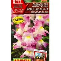 Семена цветов Львиный зев Кракл энд поп F1 эпплблоссом С. Floranova Цветущий балкон, Ц/П,7 шт. 1094 Семена цветов Львиный зев Кракл энд поп F1 эпплблоссом С. Floranova Цветущий балкон, Ц/П,7 шт. 1094