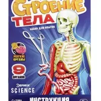 Набор для опытов по анатомии &laquo;Строение тела&raquo;, светится в темноте, с мягкими органами