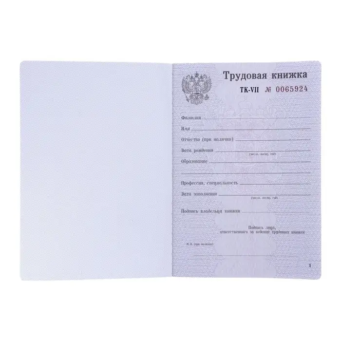 Бланк &laquo;Трудовая книжка&raquo; без голограммы