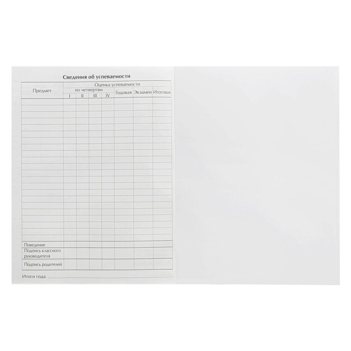 Дневник для 5-11 классов, "Мяч в воротах", твердая обложка 7БЦ, матовая ламинация, выборочный лак, 48 листов