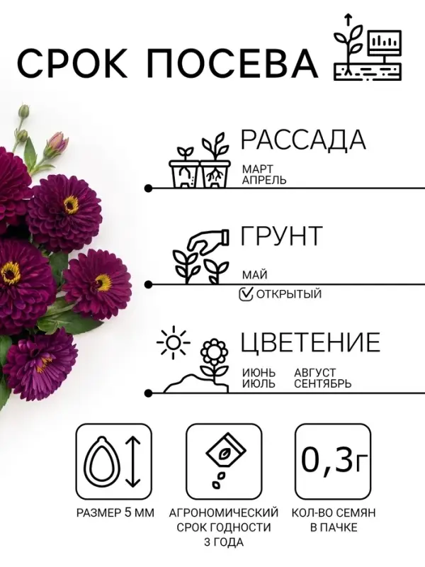 Семена цветов Цинния "Фиолетовая фея", ц/п,  0,3 г