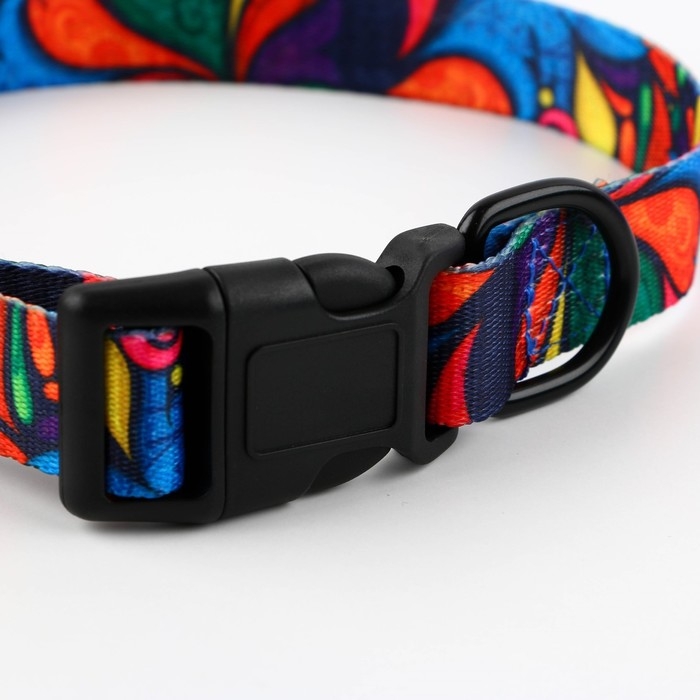 Ошейник «Невозможно слиться с улицей», застёжка - фастекс, 2.5 см, 40-55 см Ошейник «Невозможно слиться с улицей», застёжка - фастекс, 2.5 см, 40-55 см