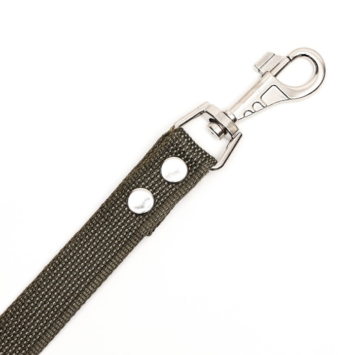 Поводок брезентовый 3 м х 2,5 см, тёмно-зелёный Поводок брезентовый 3 м х 2,5 см, тёмно-зелёный