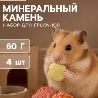 Минеральный камень для грызунов &laquo;Пижон&raquo;, фрукты, 18 г, набор 4 шт.