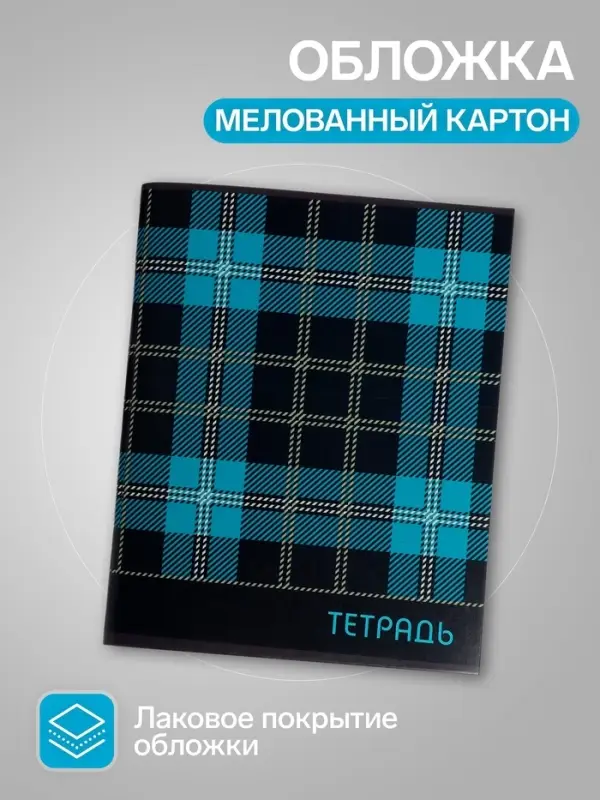 Набор тетрадей, 96 листов в клетку, Calligrata &laquo;Шотландка&raquo;, серые листы, 4 штуки