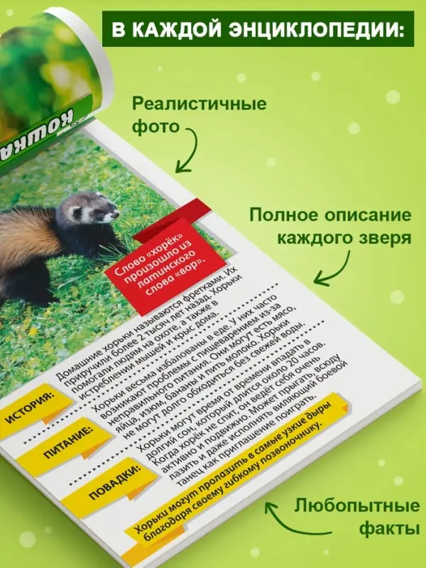 Мини - энциклопедии «Мир животных», 8 шт. по 20 стр. Мини - энциклопедии «Мир животных», 8 шт. по 20 стр.