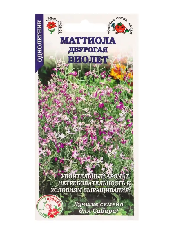 Семена Маттиола Виолет /Сотка/ 0,5 г/ h-50см, d-2см/*1200 Семена Маттиола Виолет /Сотка/ 0,5 г/ h-50см, d-2см/*1200