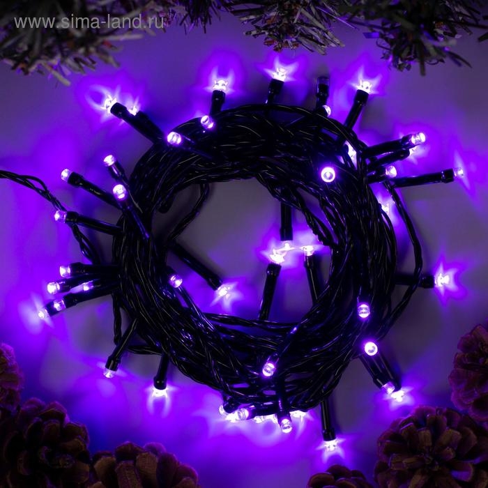 Гирлянда «Нить» 5 м, IP20, тёмная нить, 50 LED, свечение фиолетовое, 8 режимов, 220 В Гирлянда «Нить» 5 м, IP20, тёмная нить, 50 LED, свечение фиолетовое, 8 режимов, 220 В