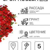 Семена цветов Петуния &laquo;Пикколино&raquo; F1, красная, драже, 5 шт.