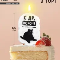 Свеча для торта «С др, короче», 6.5 см, белая
