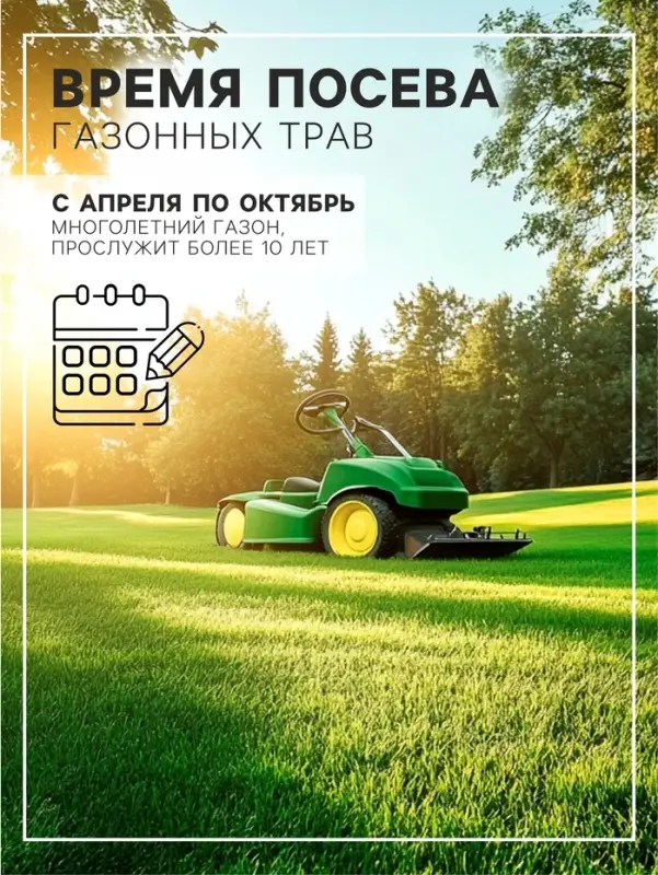 Газонная травосмесь &laquo;Детский&raquo; 0.5 кг