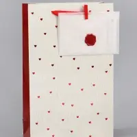 Пакет ламинированный &laquo;Важный момент&raquo;, 22.3&times;9&times;35 см