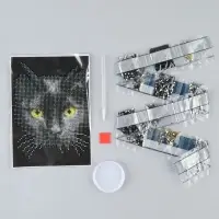Алмазная мозаика с частичным заполнением на холсте &laquo;Чёрный кот&raquo;, 15&times;21 см
