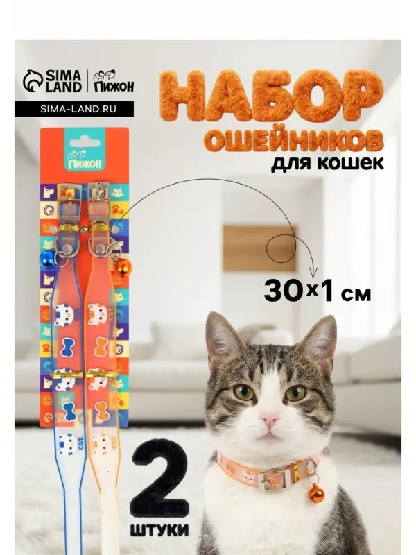 Набор ошейников для кошек &laquo;Пижон. Котя&raquo;, 30&times;1 см, оранжевый, синий