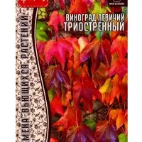 Семена Виноград девичий &laquo;Триостренный&raquo;, 0.2 г, &laquo;Григорьев&raquo;