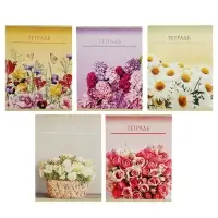 Тетрадь 48 листов в клетку Calligrata «Цветы», обложка мелованный картон, блок офсет, МИКС