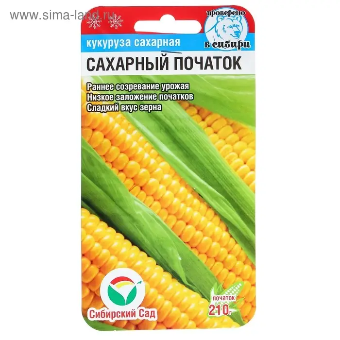 Семена Кукуруза сахарная "Сахарный початок", 6 шт.