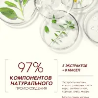 Шампунь для волос, питающий уход, аромат малины, 250 мл, Рябина