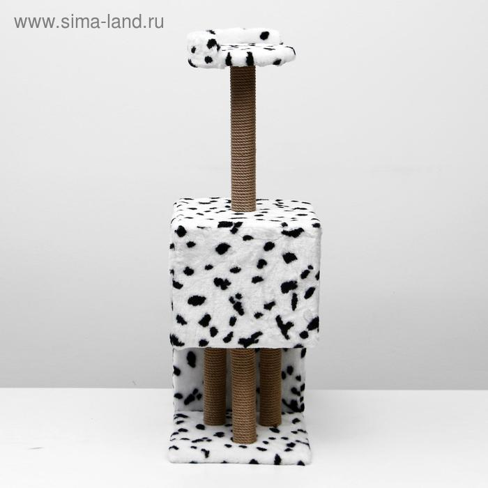 Домик для кошек с когтеточкой  "Двухуровневый", 72 х 37 х 110 см, джут, далматинец