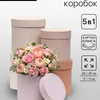 Набор круглых коробок 5 в 1 &laquo;Нюд&raquo;, 20&times;20&times;20 - 11&times;11&times;11 см