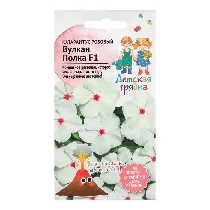 Семена цветов Катарантус розовый  Семена цветов Катарантус розовый "Вулкан Полка F1", 5 шт