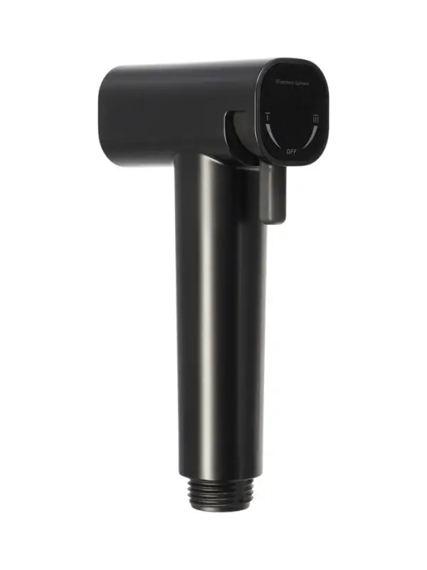 Гигиеническая лейка Accoona AF30501ST