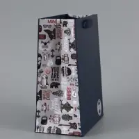 Пакет подарочный ламинированный, упаковка, &laquo;Ты лучший&raquo;, MS 18&times;23&times;10 см, цвет МИКС