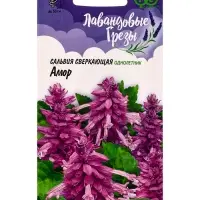 Семена цветов Сальвия Амор*  4 шт. серия Лавандовые грёзы