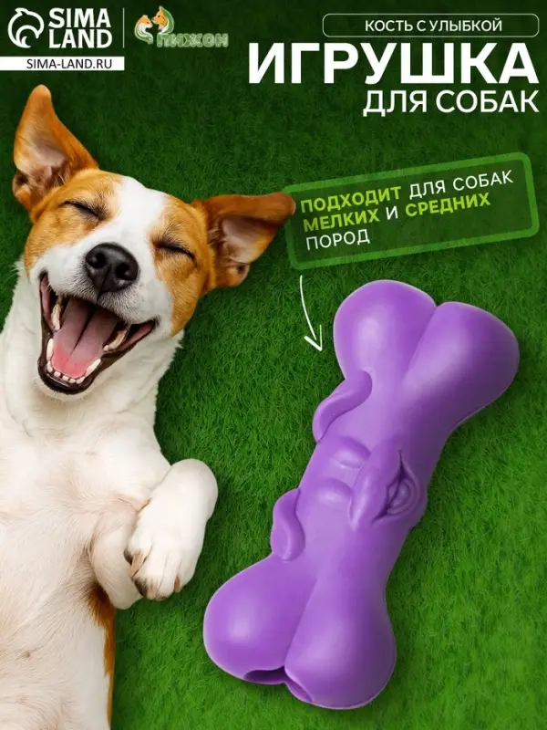 Жевательная игрушка для собак&laquo;Кость с улыбкой&raquo;, 9 см, TPR, фиолетовая