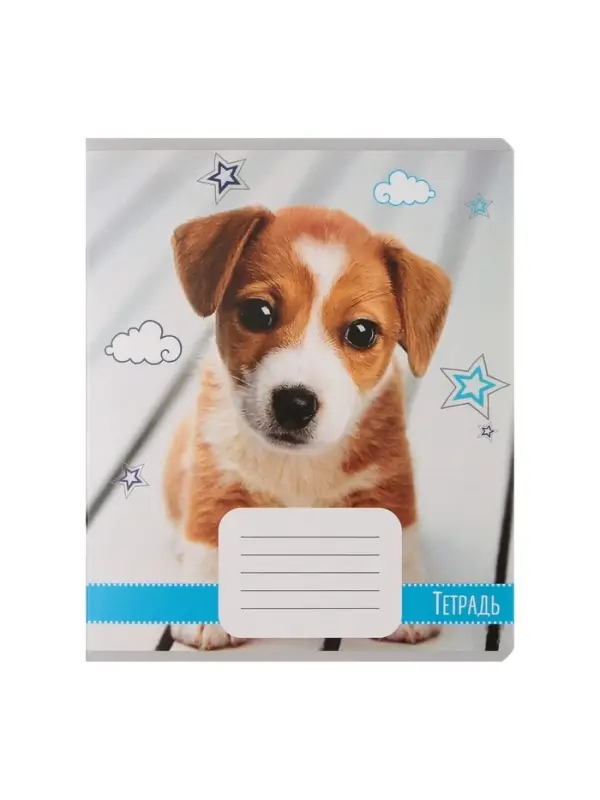 Комплект тетрадей из 10 штук, 18 листов в линию Calligrata "Домашние животные", обложка мелованный картон, ВД-лак, блок офсет, 5 видов по 2 штуки