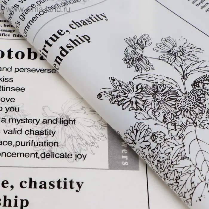 Плёнка матовая «Флористическая статья» белый, 57×57 см ±5% см