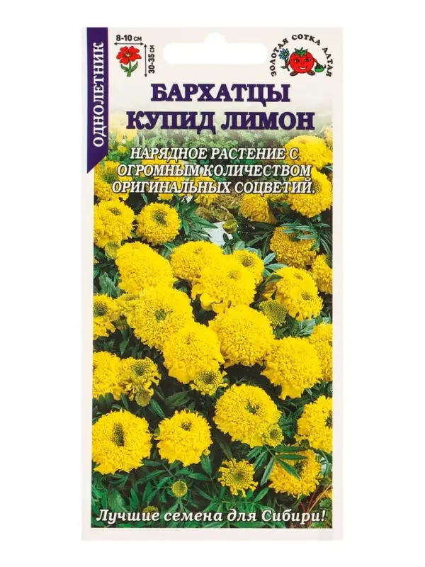 Семена Бархатцы Купид Лимон /Сотка/ 0,1 г/ прям. 35см, d-10см/*1500 Семена Бархатцы Купид Лимон /Сотка/ 0,1 г/ прям. 35см, d-10см/*1500