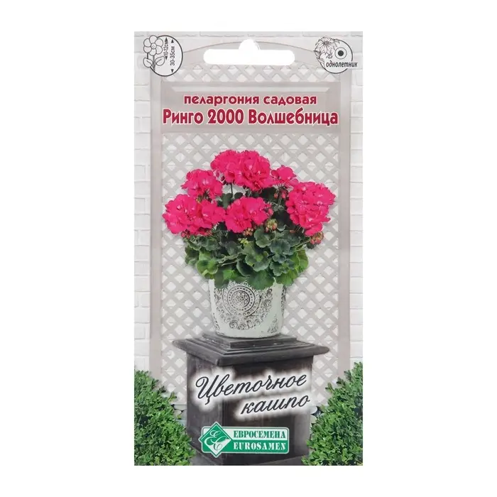 Семена Пеларгония  "Волшебница",  3 шт Семена Пеларгония  "Волшебница",  3 шт