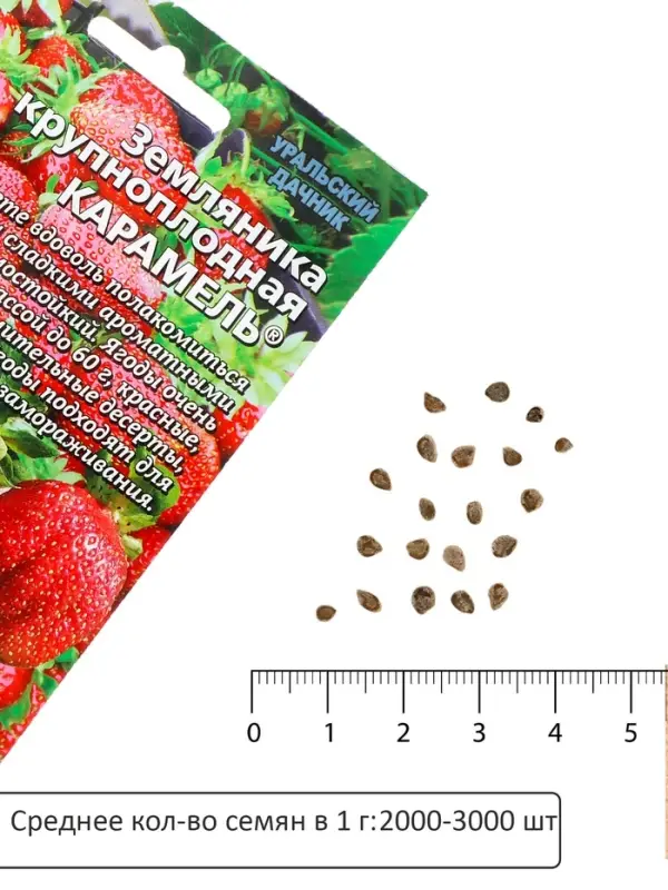 Семена Земляника &laquo;Карамель&raquo;, 10 шт., крупноплодная, &laquo;Уральский дачник&raquo;
