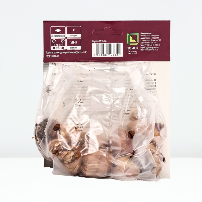 Гладиолус крупноцветковый «Присцилла», луковица цветов в пакете с перфорацией, , р-р 10/12, 10 шт.