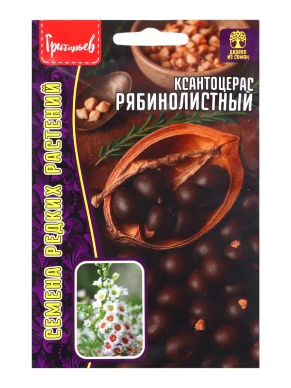 Семена Ксантоцерас &laquo;Рябинолистный&raquo;, &laquo;Чекалкин орех&raquo;, 2 шт., &laquo;Григорьев&raquo;
