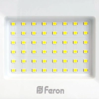 Прожектор светодиодный Feron LL-921 IP65 50W 6400K(32102)
