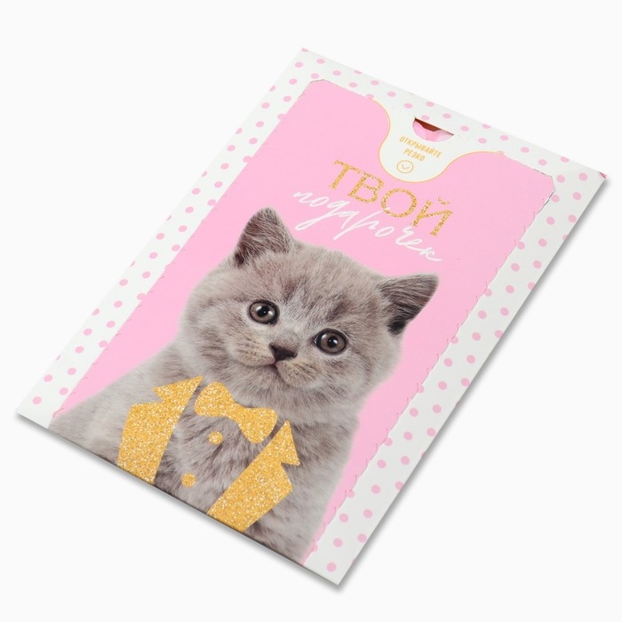 Бум-открытка «Твой подарочек», шары , 12 х 18.5 см Бум-открытка «Твой подарочек», шары , 12 х 18.5 см