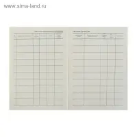 Журнал учёта работы педагога дополнительного образования в объединении (секции, клубе, кружке) А4, 20 листов, обложка офсет 120 г/м², блок писчая бумага 60 г/м²
