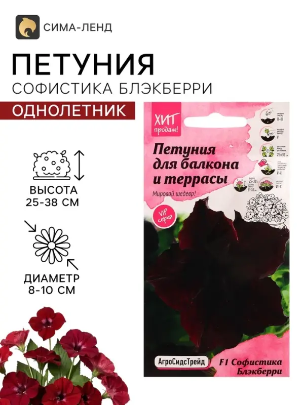Семена цветов Петуния &laquo;Софистика Блэкберри&raquo; F1, 5 шт.