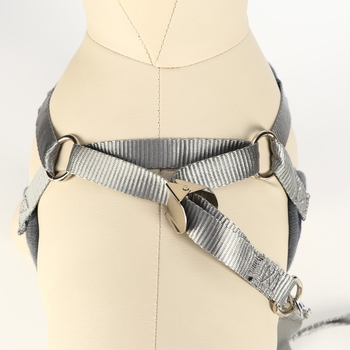 Комплект амуниции с мягкой шлейкой, XL, поводок 120 х 1,5 см, ОШ 38-52 см, ОГ 42-60 см, серый   7119 Комплект амуниции с мягкой шлейкой, XL, поводок 120 х 1,5 см, ОШ 38-52 см, ОГ 42-60 см, серый   7119