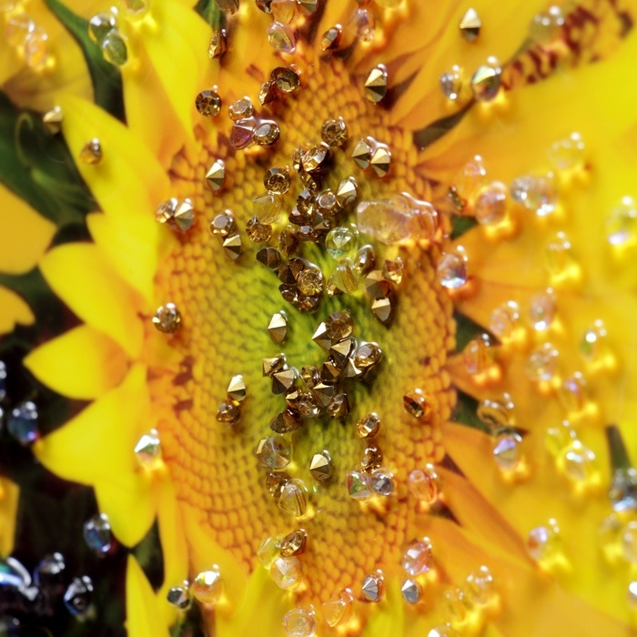 Картина акрил  Картина акрил "Подсолнухи в вазе" 60х39,5 см