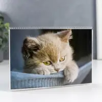 Фотоальбом на 36 фото 10×15 см «Котейка», 18 листов