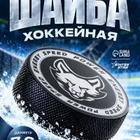 Шайба хоккейная Winter Star, взрослая, d=7.6 см